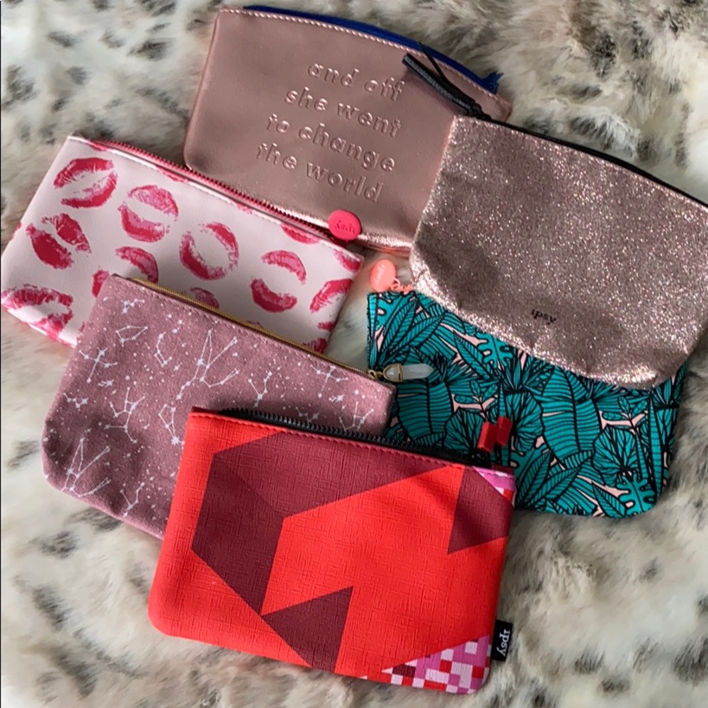 6 Ipsy Travel Bags